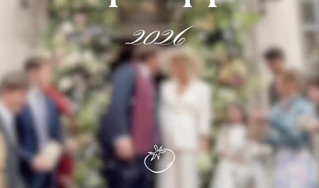 Pregnant Made In Chelsea star Tabitha Willett has secretly married wealthy businessman Harry Hoare, just four months after announcing their engagement