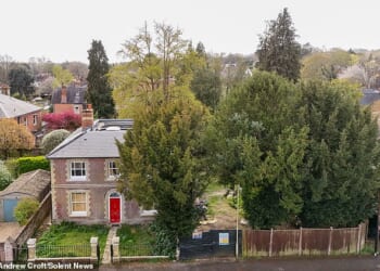 Peter Sykes is looking to chop down the two 30-foot-high trees to make space for a new building and parking bays at the front of his home. Pictured: The house and trees in Winchester