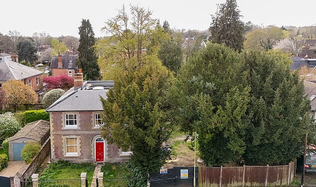 Peter Sykes is looking to chop down the two 30-foot-high trees to make space for a new building and parking bays at the front of his home. Pictured: The house and trees in Winchester