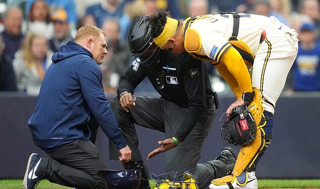 MLB umpire CB Bucknor was hit in the mask by a 100mph foul ball in a game on Wednesday