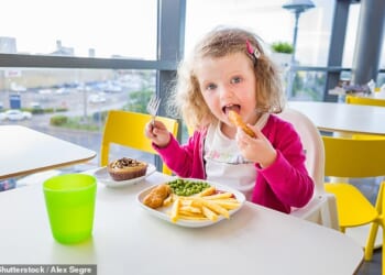 Battered fish and chips, fried chicken nuggets and jam doughnuts are set to be banned in school dinners in a major government overhaul (Stock image)