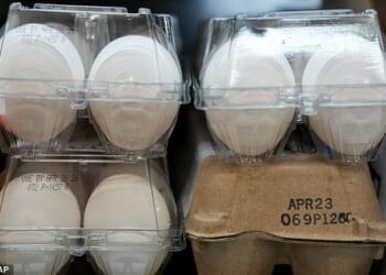 Scientists are recommending regular egg intake as part of a balanced diet to keep Alzheimer's and other types of dementia at bay