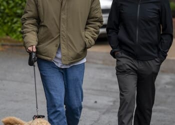 Mills and Vaughan finally broke cover from their £1.5million five-bedroom Hertfordshire property to walk their prized golden cavapoo, Teddy