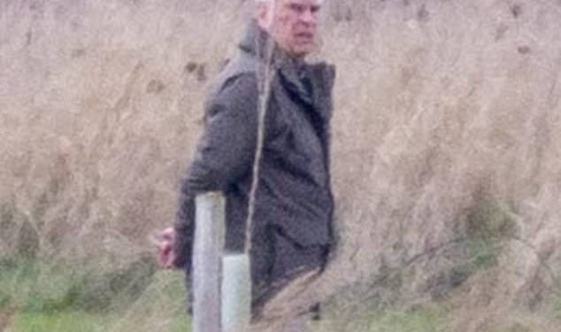 The disgraced former prince, 66, was pictured scowling as he walked his seven dogs around the grounds of the King's Sandringham Estate in Norfolk on Saturday with his body guard