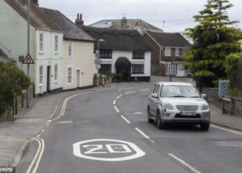 Furious residents in Lyme Regis, Dorset, have complained that their town has been 'grotesquely vandalised' by new 20mph speed limit signs