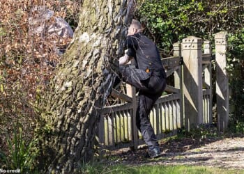 A man and a girl are seen attempting to scale the fence of Andrew Mountbatten Windsor's new home on Thursday