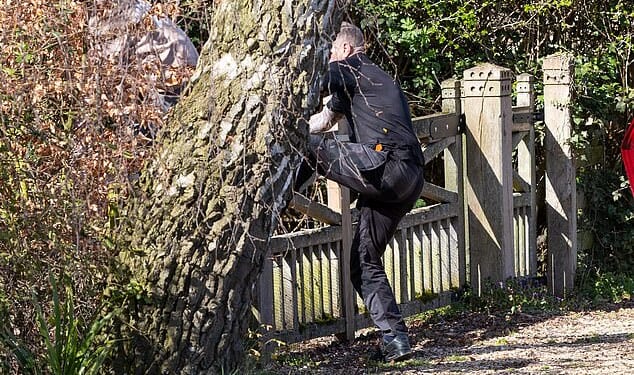 A man and a girl are seen attempting to scale the fence of Andrew Mountbatten Windsor's new home on Thursday