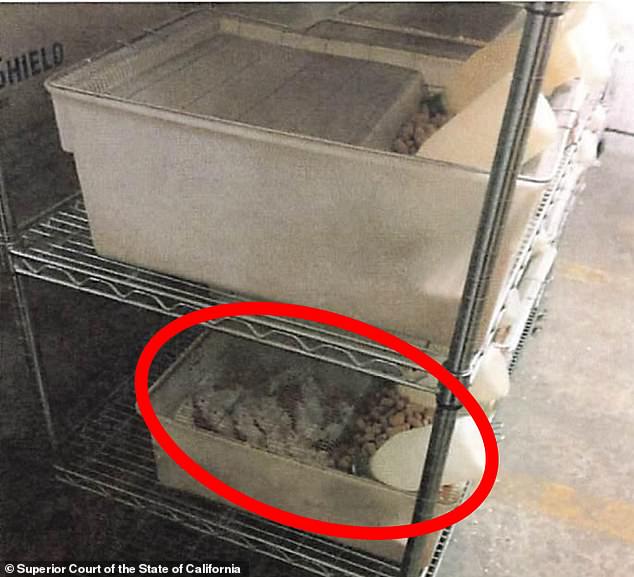 The discovery of unauthorized biolabs in California and Nevada has raised concerns that there are more of them across the country. Malnourished and improperly kept mice are pictured at the Reedley biolab