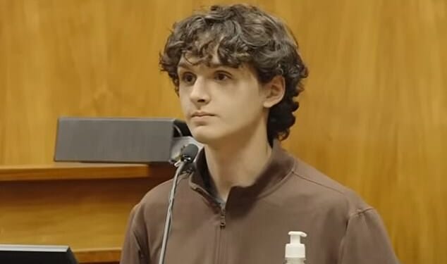 Gerhardt Konig's son Emile took the stand in his father's attempted murder trial yesterday, telling the court that his father admitted to trying to kill Arielle Konig