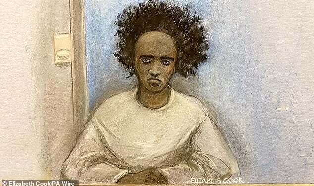 Rudakubana was jailed for life and ordered to serve a minimum term of 52 years for the murders of Bebe King, six, Elsie Stancombe, seven, and Alice Aguiar, nine, who he stabbed to death at a Taylor Swift-themed dance holiday club.