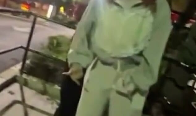 Ice Spice got into a fight at a McDonald's in Hollywood on Wednesday, with the melee eventually spilling outside the restaurant (pictured)