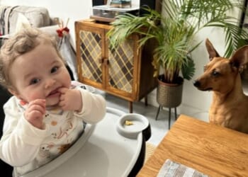 Preston Davey pictured by his adopted father, Jamie Varley, 37, the morning after his first sleep over at his new adopted 'daddies' home. Varley is accused of sexually abusing and murdering Preston