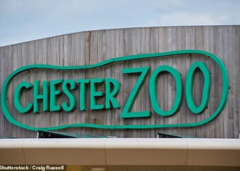 Chester Zoo has been crowned the very best in the UK by TripAdvisor for the second year in a row