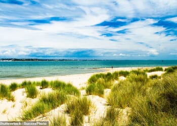 Studland Bay offers a quiet alternative to bustling beaches along the Jurassic Coast, with four miles of white and golden sand, protected waters and stretches of purple heathland