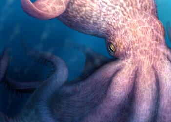 Scientists have discovered evidence of a colossal beast that hunted the Late Cretaceous seas between 72 and 100 million years ago