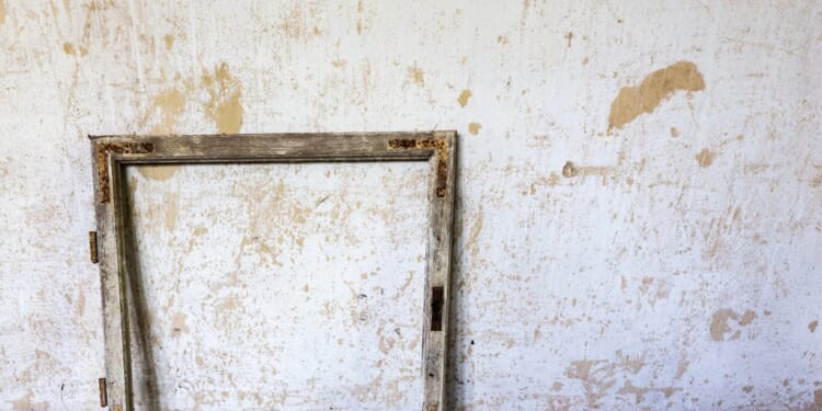 The slow vibe shift | Pierre d’Alancaisez