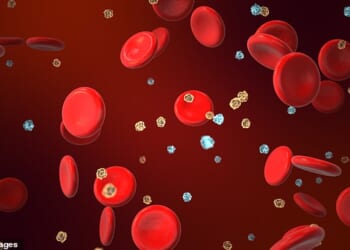 AGEs come into being through a chemical reaction called glycation, which happens when sugars in the bloodstream react with proteins in muscles and organs