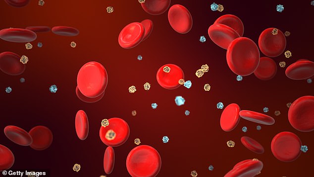 AGEs come into being through a chemical reaction called glycation, which happens when sugars in the bloodstream react with proteins in muscles and organs