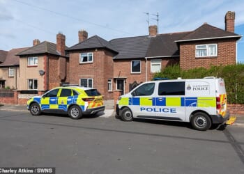 Pictured: Police cars outside a property on Hardale Drive in Redcar, North Yorkshire, where an infant girl was attacked by the dog at at around 1.30pm yesterday