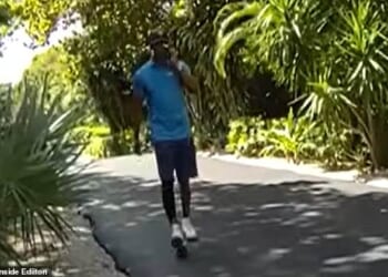 Tiger Woods called Donald Trump in the moments after his shocking car crash in Florida