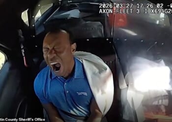 Tiger Woods yawns in the back of the police car on his way to jail in Florida last Friday