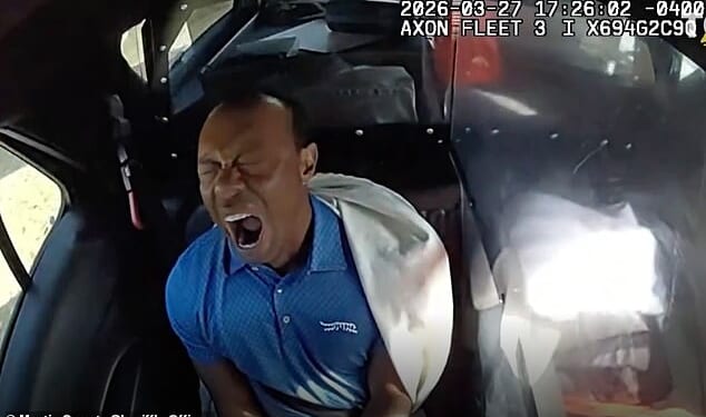 Tiger Woods yawns in the back of the police car on his way to jail in Florida last Friday