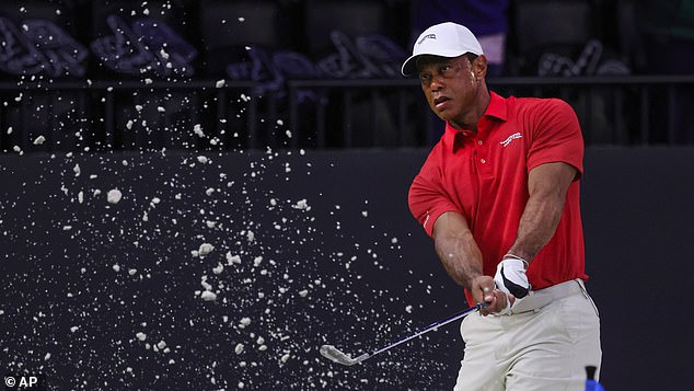 Tiger Woods has withdrawn his candidacy to be captain of the USA Ryder Cup team in 2027
