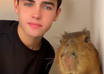 Kyle Thomas with the capybara his mother smuggled from Cambridgeshire to Northern Ireland