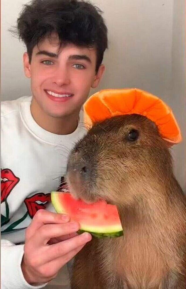 Thomas has 34million TikTok followers and is set to become a presenter on Blue Peter