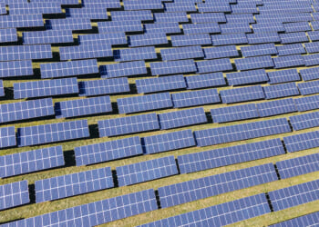 Trump shuns solar, but some prominent MAGA figures disagree