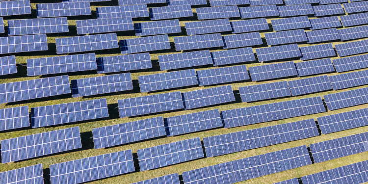 Trump shuns solar, but some prominent MAGA figures disagree