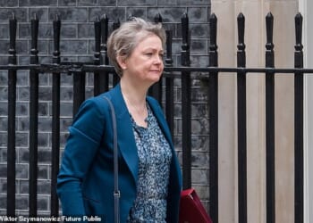 Foreign Secretary Yvette Cooper is convening the virtual meeting with around 35 countries including France , Germany and some Gulf states