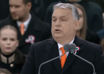 Viktor Orban Concedes Defeat in Hungarian Election