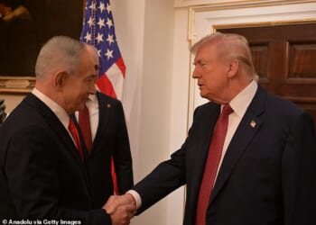President Donald Trump (R) meets with the Israeli Prime Minister Benjamin Netanyahu (L) at the White House on February 11
