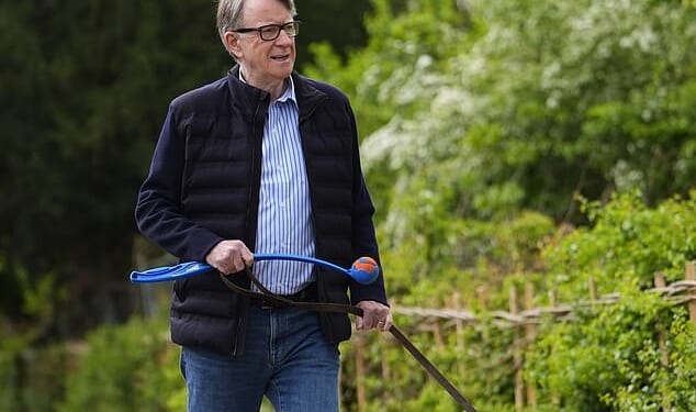 Lord Mandelson (pictured today) was made Britain's ambassador to the US despite failing security checks