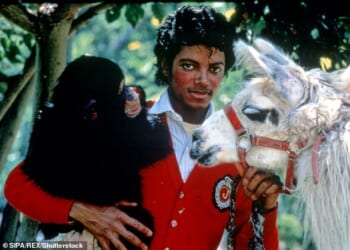 Michael Jackson had kept exotic pets such as a giraffe and a chimpanzee named Bubbles that resided at his family estate in California