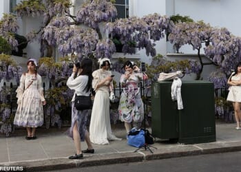 Asian tourists take photos in front of wisteria in bloom in front of a house in West London
