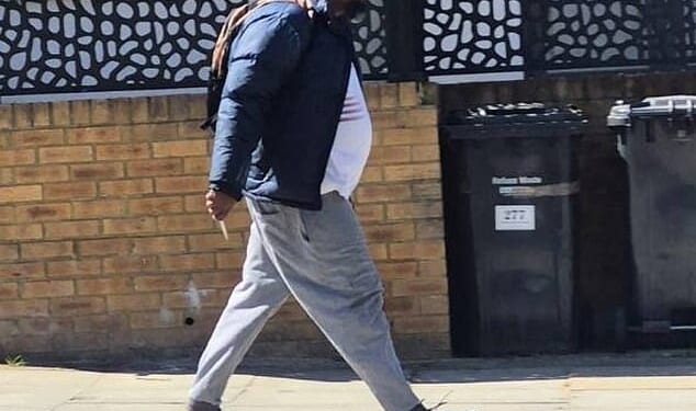 Essa Suleiman, 45, was arrested on Wednesday after two men were stabbed in broad daylight in Golders Green