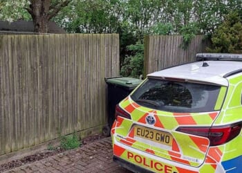 A 19-year-old woman has died after she was mauled by a dog at a house in Essex, police say. Pictured: A police car at the scene