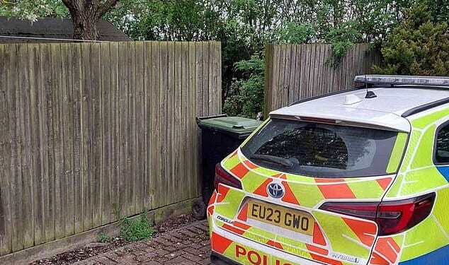 A 19-year-old woman has died after she was mauled by a dog at a house in Essex, police say. Pictured: A police car at the scene