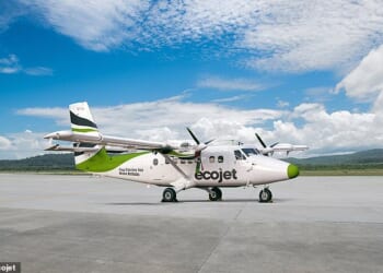 Scottish carrier, Ecojet, has stopped all of its flights and entered liquidation
