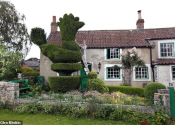 Cockadoodle, pictured in 2016 with Richard Harper, the former owner of the Grade II-listed cottage to which it belongs
