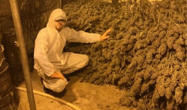 Three yobs who ran a million-pound cannabis farm from an industrial unit in Oldham have been jailed for a total of more than eight years