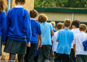 Boys have lost the positive exemplars once provided by rapidly disappearing youth clubs and male volunteers in sports and leisure activities, the research found. Pictured: File photo