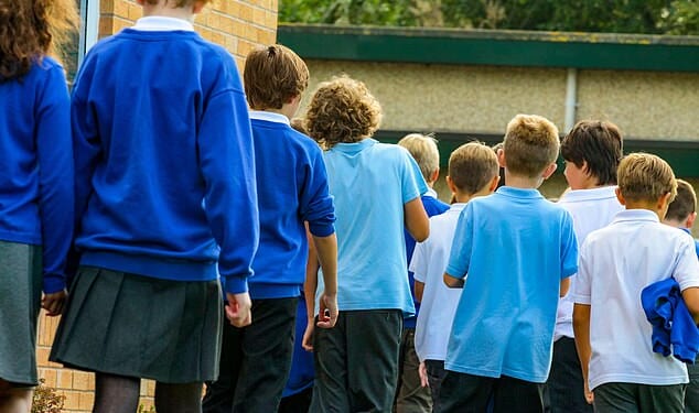 Boys have lost the positive exemplars once provided by rapidly disappearing youth clubs and male volunteers in sports and leisure activities, the research found. Pictured: File photo