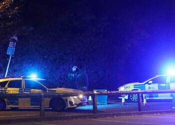 A woman is also fighting for her life while the pony died following a collision on the A228 in East Peckham, near Tonbridge on Wednesday evening