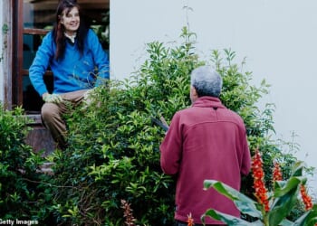 Your neighbour is legally entitled to cut back any branches, foliage or roots that cross the boundary into their property