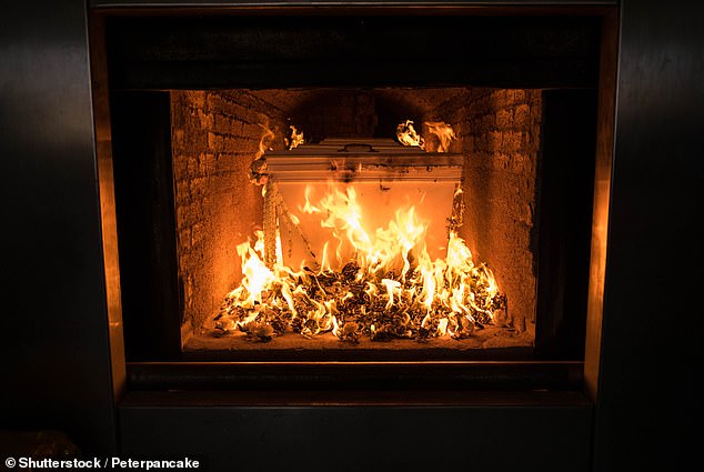 Tyson noted that cremation releases the energy of a deceased person into space in the form of radiation, which then moves through the cosmos (Stock Image)
