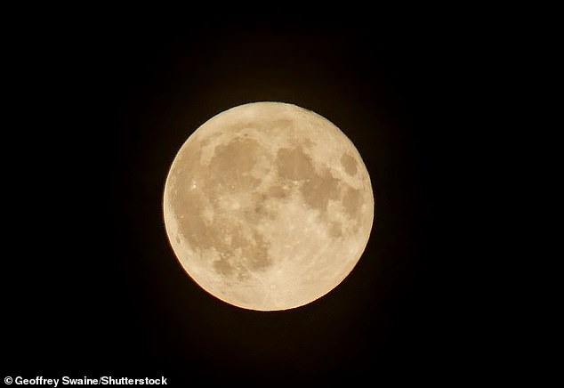 The best time to see the Flower Moon will be shortly after it rises at 20:46 BST. Due to the 'moon illusion' the moon will appear larger while close to the horizon. Pictured: The full Flower Moon seen over Oxfordshire in May 2025