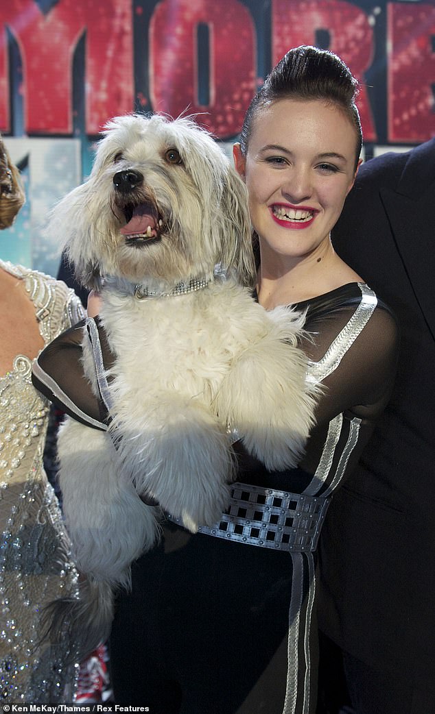 Britain's Got Talent winner Pudsey died aged 11 after losing a battle with blood cancer in 2017 (pictured 2012)